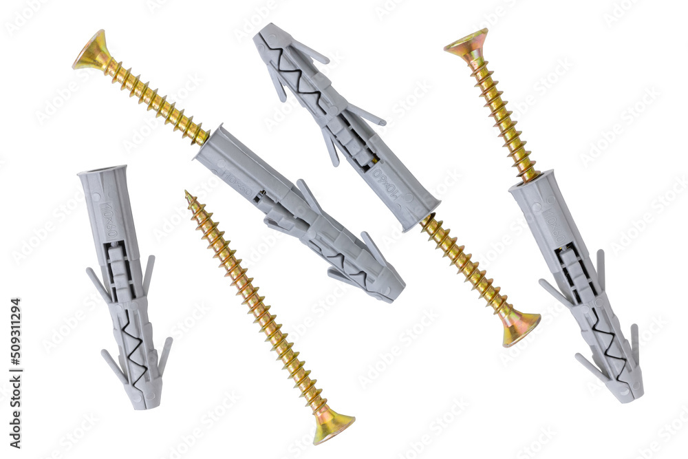 Self-tapping screw with plastic dowel. Self-tapping screw isolated on white background. Top view. Self-tapping screw with plastic dowel. Self-tapping screw isolated on white background. Top view.