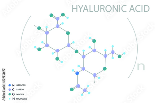 Hyaluronic acid molecular skeletal 3D chemical formula. 