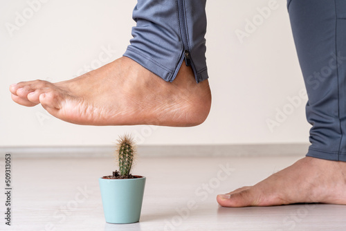 Close up photo of moment foot stepping on cactus plant as a symbol of common human foot problems.  photo