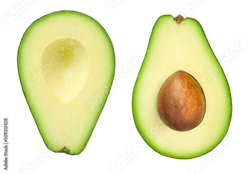 avocado cut in half on a white isolated background photo