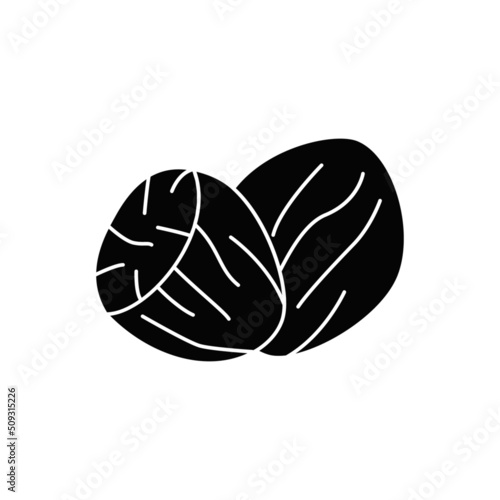 Nutmeg icon in black flat glyph, filled style isolated on white background