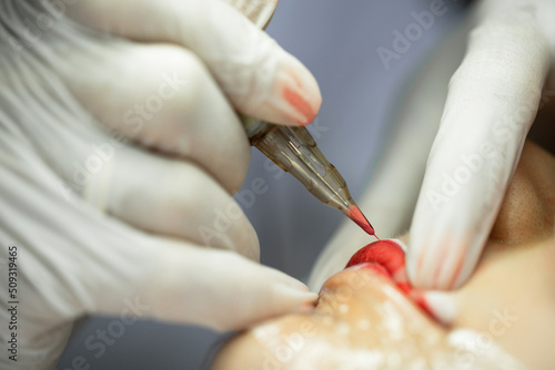 Картината върху платно Professional permanent makeup procedure - lip blushing