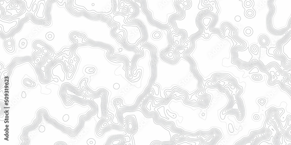 Fototapeta premium White wave paper curved reliefs abstract background, Topographic Map Seamless Pattern. Vector Background