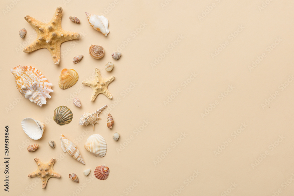 Fototapeta premium Summer time concept Flat lay composition with beautiful starfish and sea shells on colored table, top view with copy space for text