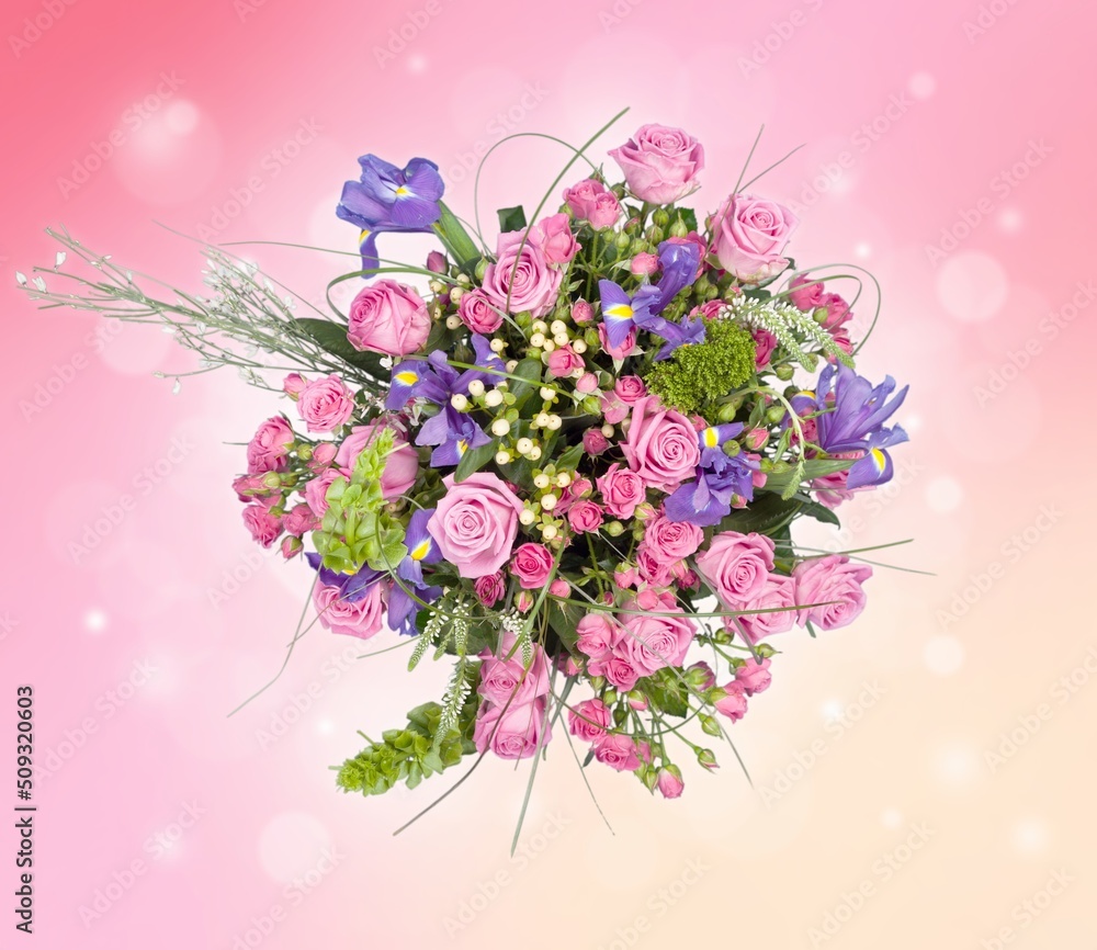 Beautiful pink roses on background Beautiful pink roses on background