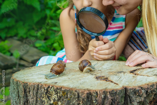 The child examines the snails on the tree. Selective focus.