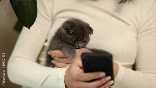 Woman with scottish kitten on the sofa using phone, browsing smartphone apps, pet and owner communication, human and animal friendship.