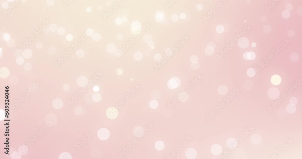 Soft Bokeh particle Background Bridal Roses Pink and gold elegant wedding video Background Soft Bokeh particle Background Bridal Roses Pink and gold elegant wedding video Background