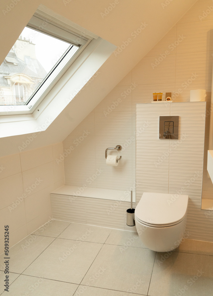 Moder luxury bathroom