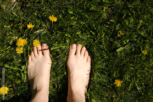 Bare feet on green grass with dandelions. A girl stands on a green, young lawn.