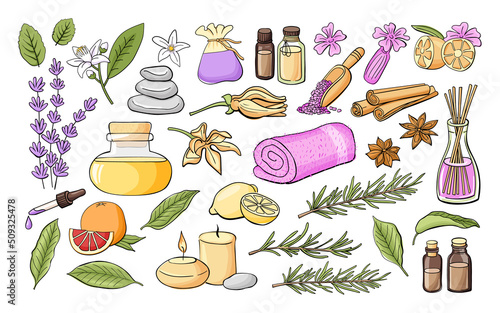 Big set of vector elements on Aromatherapy topic. Graphic Print for Product Packaging related to Perfumery, Cosmetics, Herbal Medicine, Aromatherapy Essential Oils. Isolated on white background.