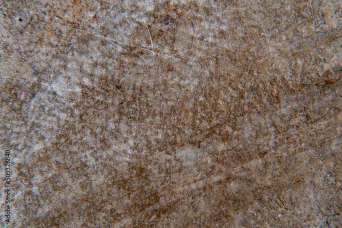 Artificial leather under high magnification with selective focus. Background with sewing material with small details.