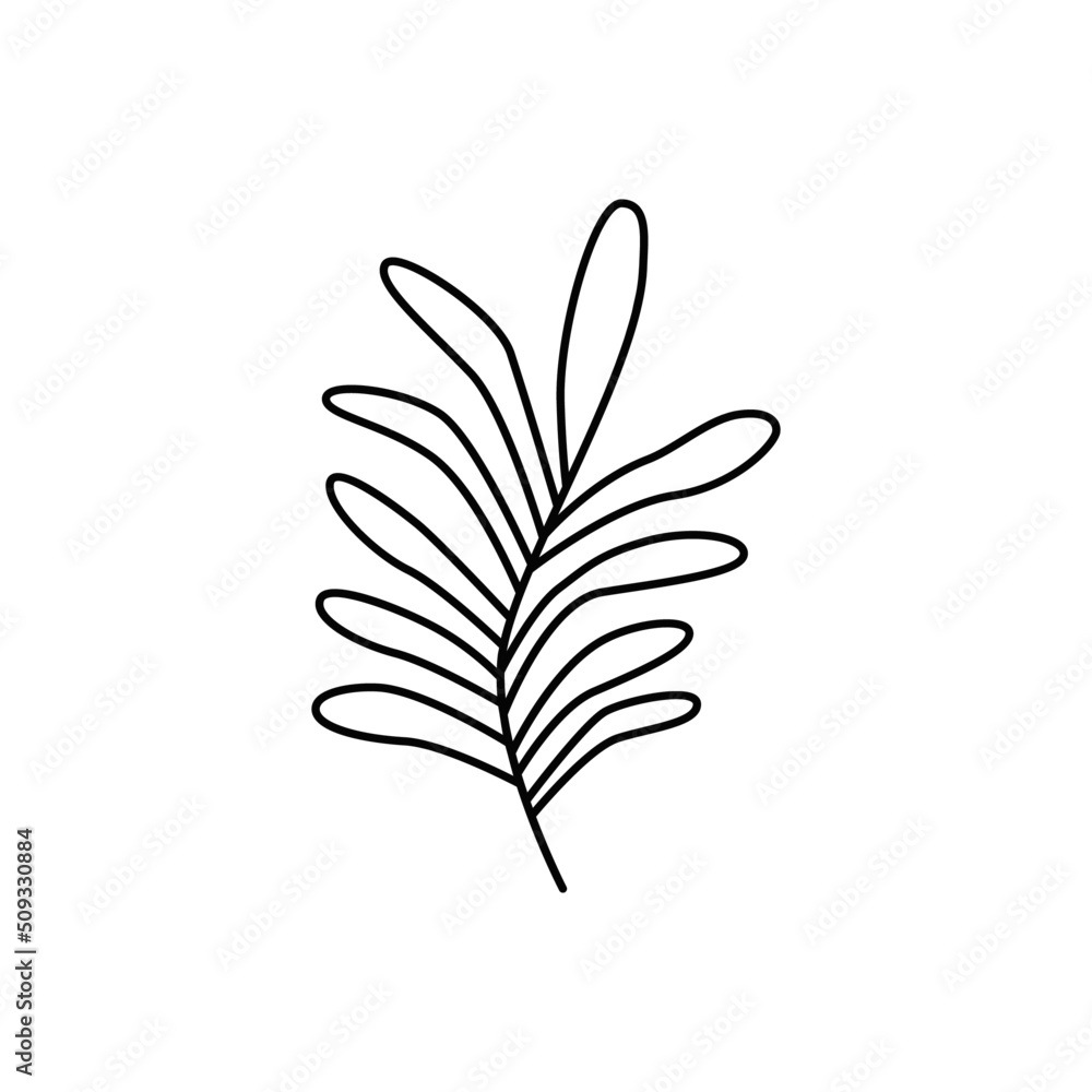 Rosemary icon in line style icon, isolated on white background