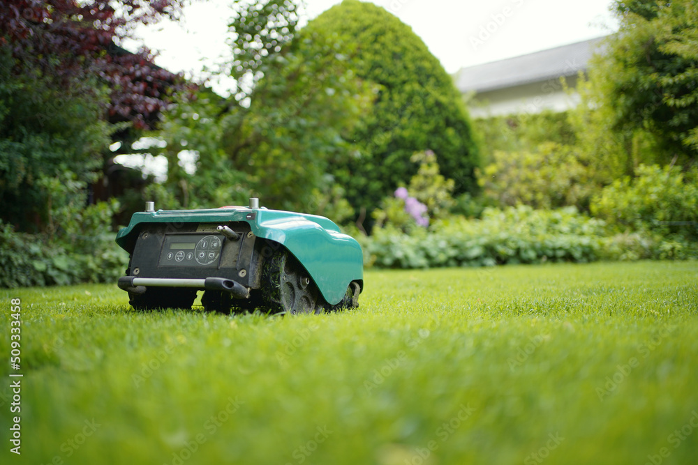Robotic mover on a lawn in the garden