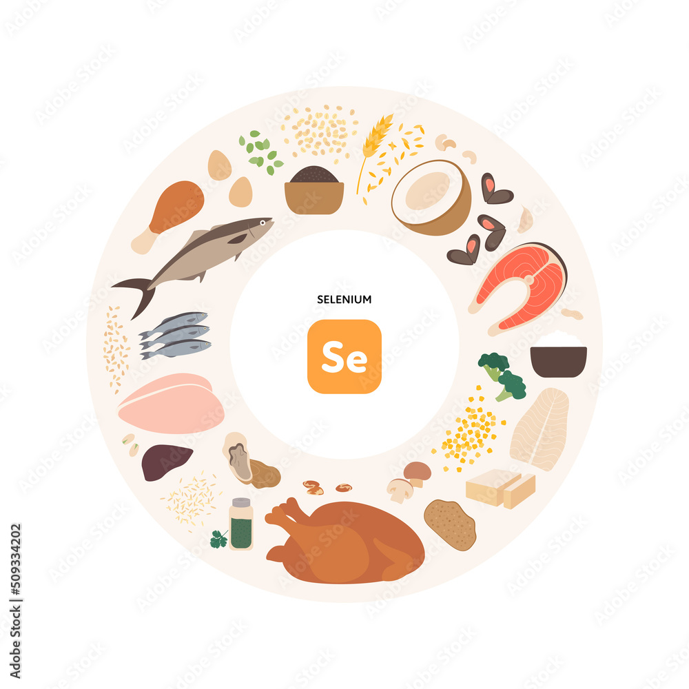 WebHealthy food guide concept. Vector flat illustration. Infographic of ...