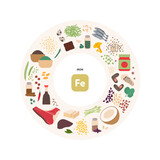 Healthy food guide concept. Vector flat illustration. Infographic of iron fe vitamin sources. Circle frame chart. Colorful meat, fish, seafood, grain, seeds and nuts icon set.