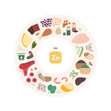 Healthy food guide concept. Vector flat illustration. Infographic of zink zn vitamin sources. Circle frame chart. Colorful meat, seafood, dairy products, seeds and nuts icon set.