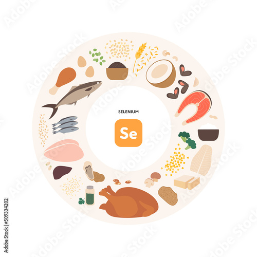 WebHealthy food guide concept. Vector flat illustration. Infographic of selenium se vitamin sources. Circle frame chart. Colorful meat, seafood, grain, seeds and nuts icon set.