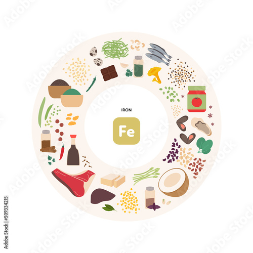 Healthy food guide concept. Vector flat illustration. Infographic of iron fe vitamin sources. Circle frame chart. Colorful meat, fish, seafood, grain, seeds and nuts icon set.