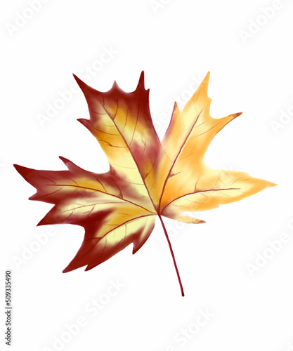 Colourful autumn watercolour leaf. Watercolor isolated on white background.