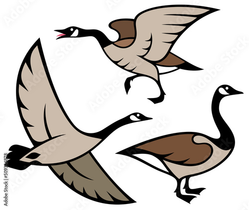 Stylized Birds - Canada Goose