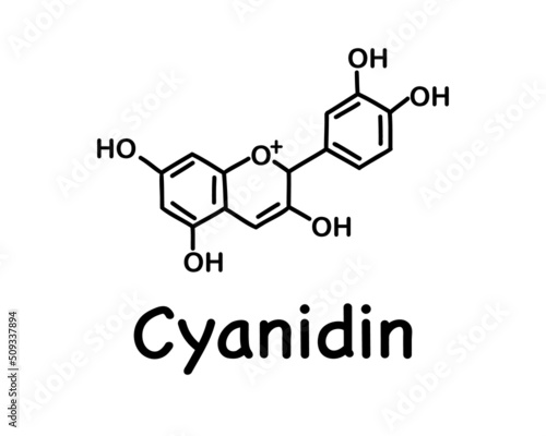 Cyanidin is a natural organic compound, a special type of anthocyanidin. Chemical structure of anthocyanin (C15H11O6). Vector illustration