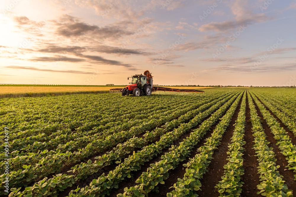 Tractor spraying soybean crops field - obrazy, fototapety, plakaty 