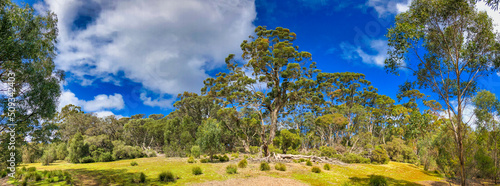 Fototapeta Naklejka Na Ścianę i Meble -  Exploring Kangaroo Island, South Australia. Panoramic view of trees and park on a beautiful sunny day