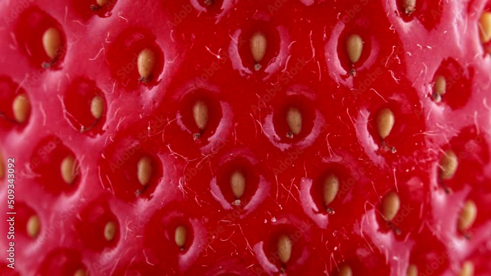 Macro texture of real red ripe strawberry rotating. Natural juicy berry, macro shot. Delicious vegetarian dessert, vitamins, nutrition, healthy eating concept Macro texture of real red ripe strawberry rotating. Natural juicy berry, macro shot. Delicious vegetarian dessert, vitamins, nutrition, healthy eating concept