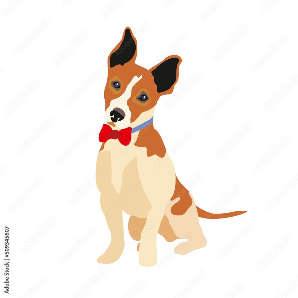 Obraz premium Cute friendly jack russell terrier puppy sits with a bow highlighted on a white background. Pets, dog-themed design elements in a flat style