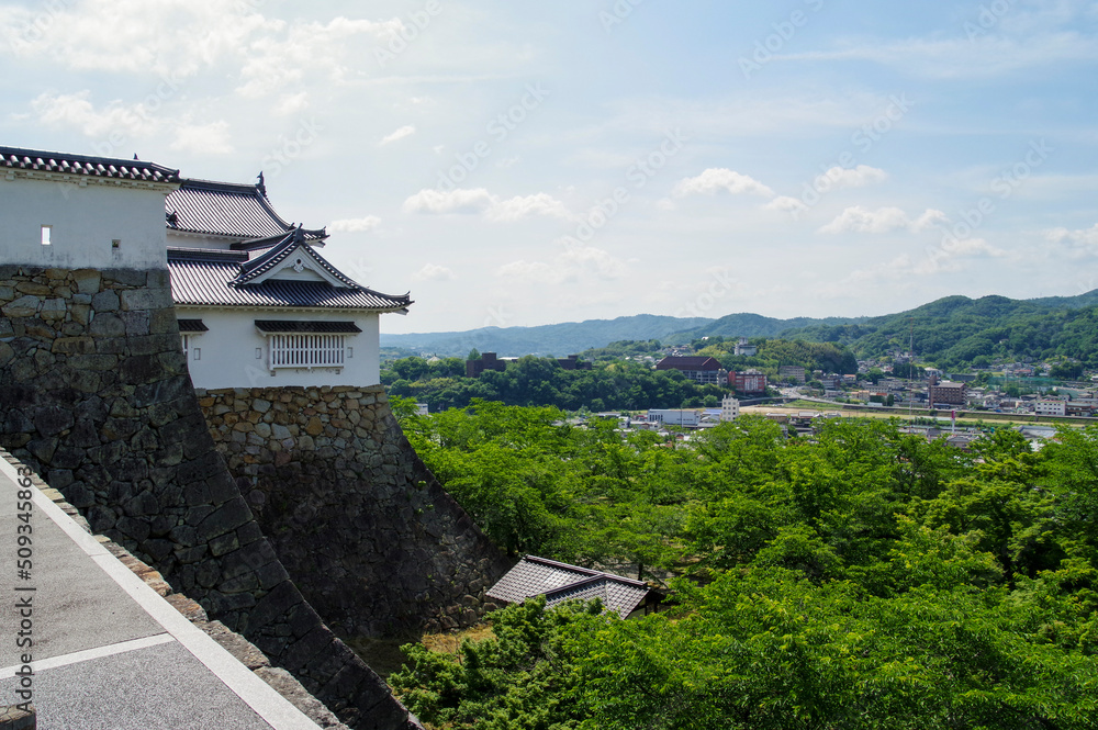 津山城跡から眺める津山の市街地 StockFoto Adobe Stock