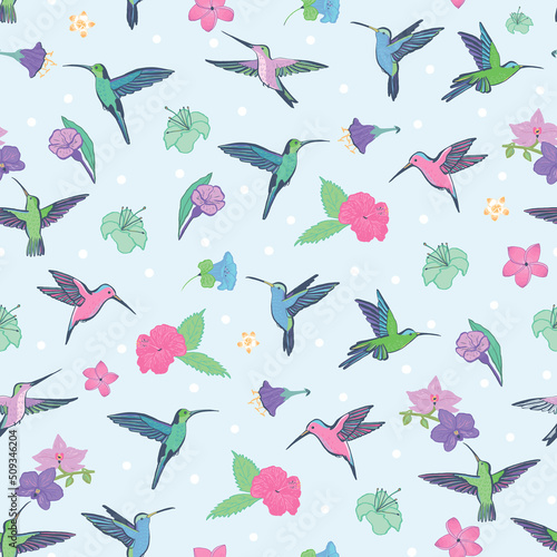 Colibri bird vector seamless pattern