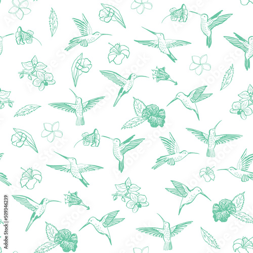 Colibri bird vector seamless pattern