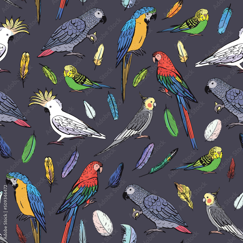 Obraz premium Parrot tropical bird vector seamless pattern
