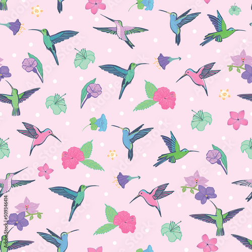 Colibri bird vector seamless pattern