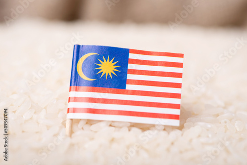 Flag of Malaysia on grain of rice. Origin of rice concept, agribusiness in Malaysia