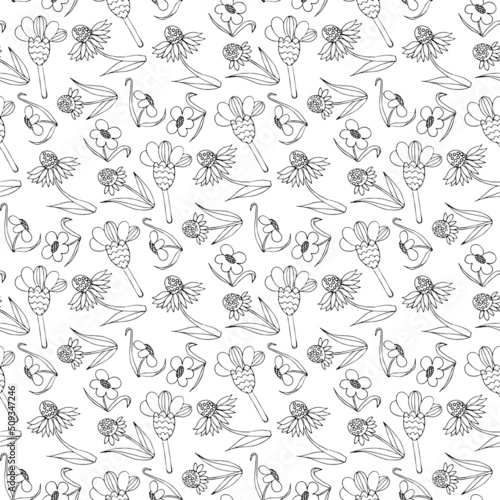 Vector seamless pattern hand drawn sketch of decorative flowers  black contour drawing isolated on white background  for decoration scrapbook  textile  paper  wallpaper.