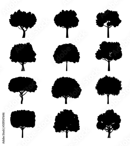 Set Black vector Trees icon.