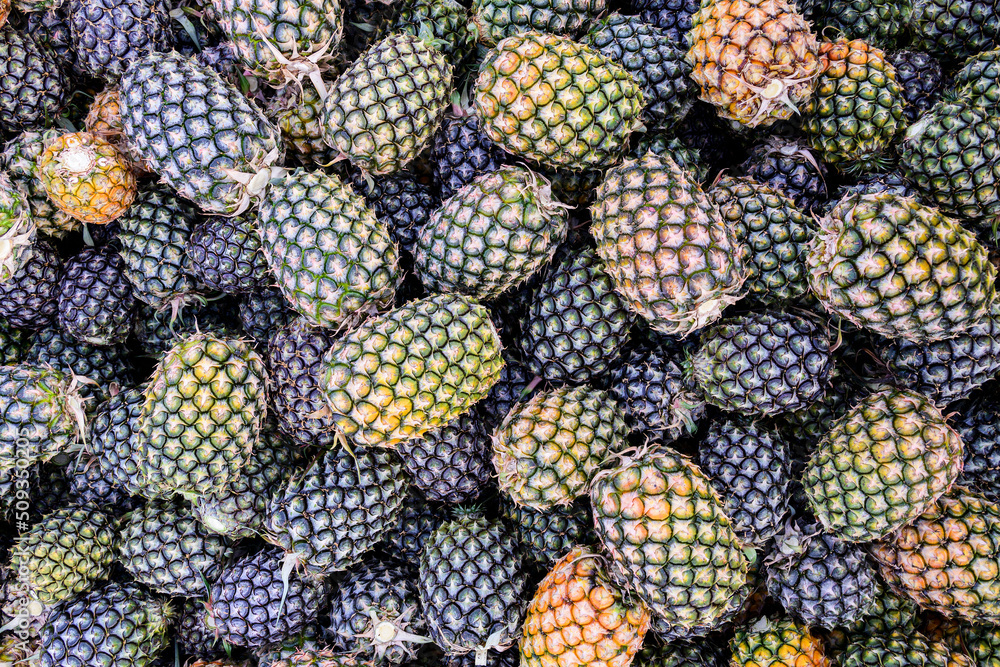 Large harvest of fresh pineapples pile stacked in factory processing plant pineapples Large harvest of fresh pineapples pile stacked in factory processing plant pineapples