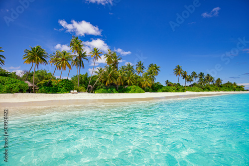 Fototapeta Naklejka Na Ścianę i Meble -  Beautiful palm trees on tropical island beach on background blue sky, white clouds and turquoise ocean lagoon sunny day. Perfect natural landscape for summer vacation. Paradise travel destination