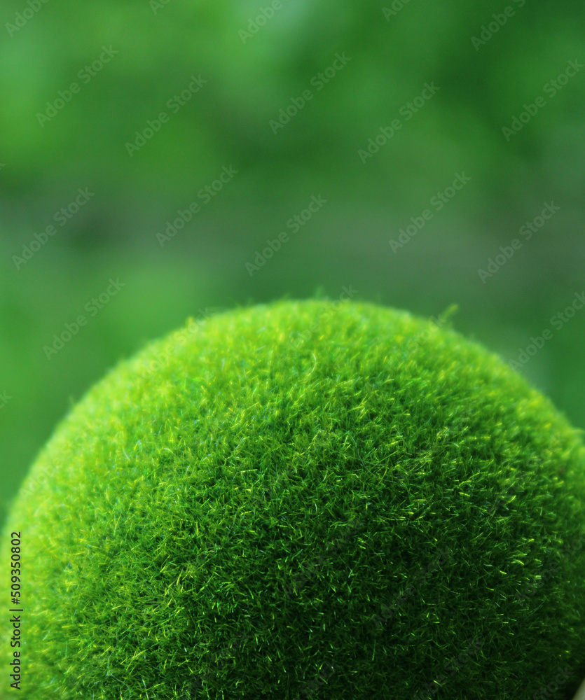 A green ball of grass on a green background. Earth Day. Ecological concept.