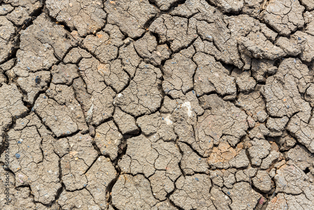 Cracked earth. Cracked mud from drought in the desert. Dry soil Cracked earth. Cracked mud from drought in the desert. Dry soil
