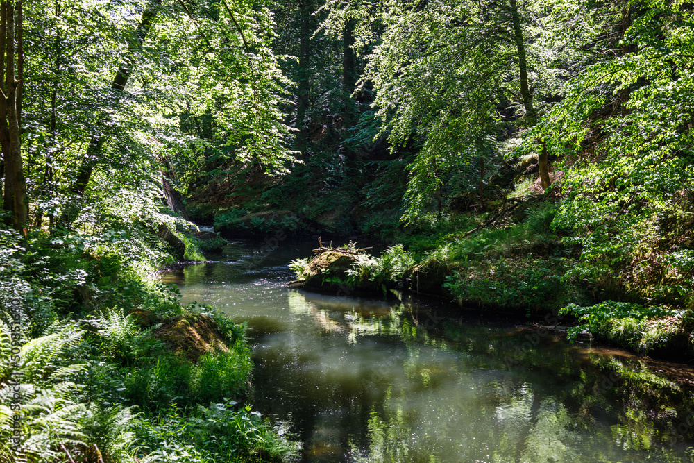 Kamenice river in the Bohemian Switzerland National Park, Czech Republic Kamenice river in the Bohemian Switzerland National Park, Czech Republic