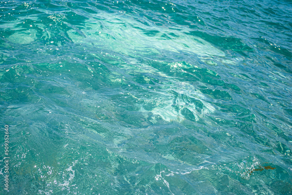 Blurred focus. Beautiful marine background. Sea bottom.