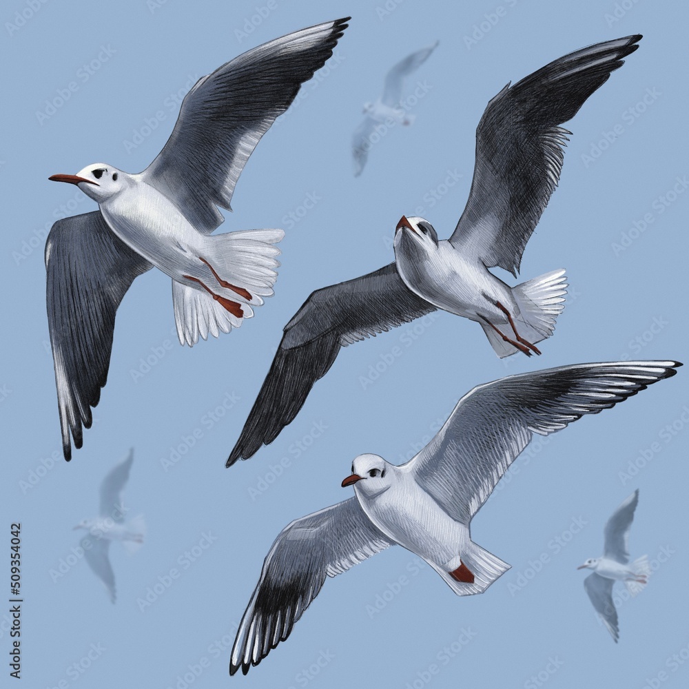 Obraz premium Print with graphic seagulls on a blue background 