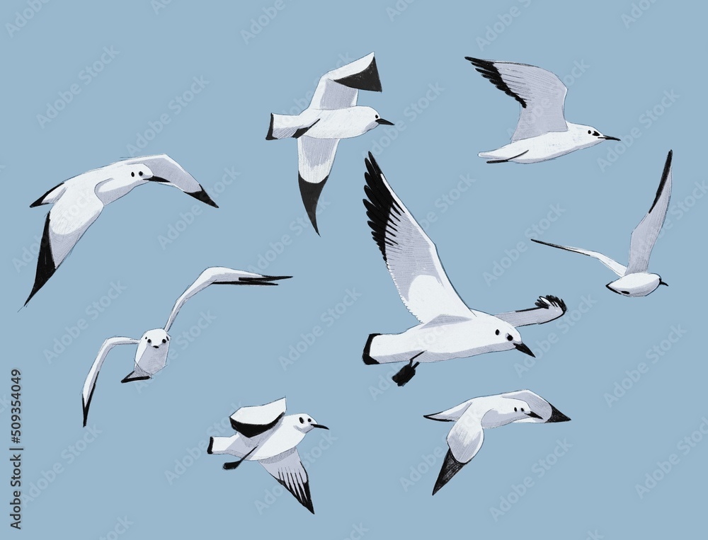 Print, illustration with simple graphic seagulls on a blue background