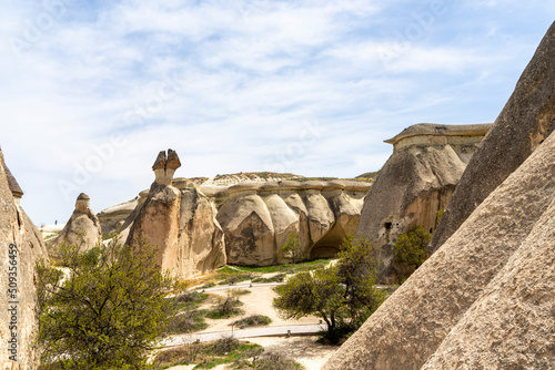 Magnificent landscape of Turkish Cappadocia. Rock formations in Pasabag Monks Valley, Cappadocia, Turkey.