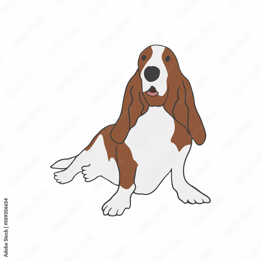 Basset Hound breed. Hunting dog. Hound doggy sitting on white background. Realistic purebred domestic dog. Isolated flat illustration Basset Hound breed. Hunting dog. Hound doggy sitting on white background. Realistic purebred domestic dog. Isolated flat illustration