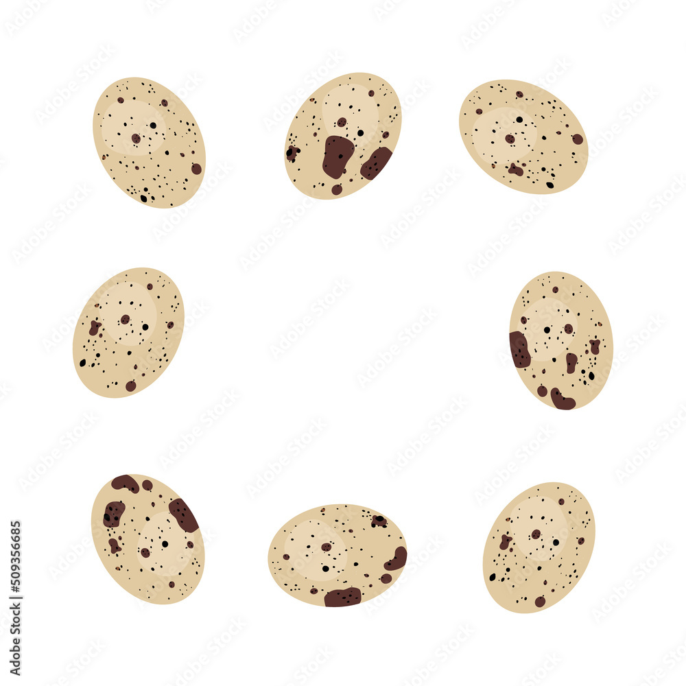 Top view, Frame with fresh quail eggs and empty space isolated on a white background. Natural healthy food and organic nutrition concept. Top view, Frame with fresh quail eggs and empty space isolated on a white background. Natural healthy food and organic nutrition concept.