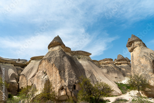 The typical rock formations with fairy chimneys in Pasabag Monks Valley, Cappadocia, Turkey. 